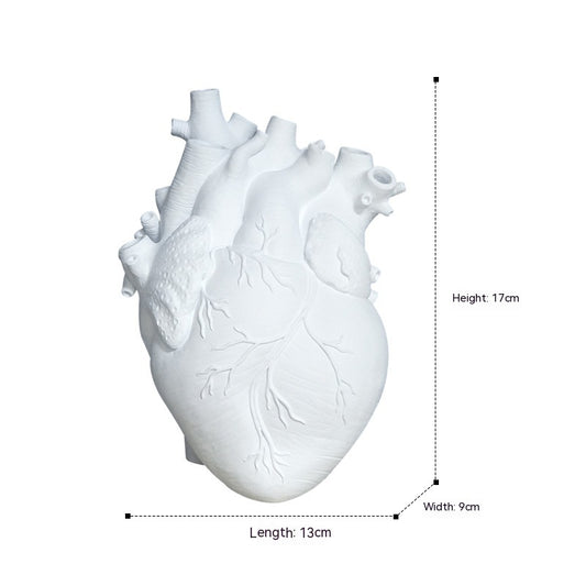 White anatomical heart model with measurements on a white background - Lioré®