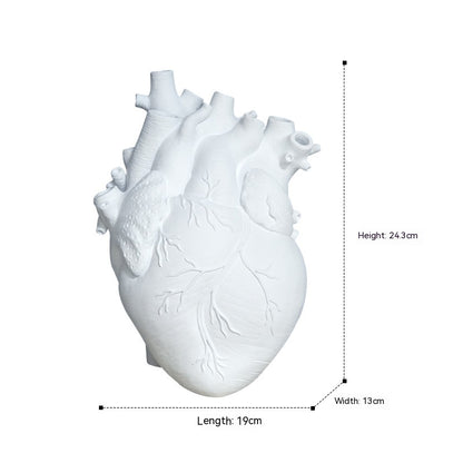 White anatomical heart model with measurements on a white background - Lioré®