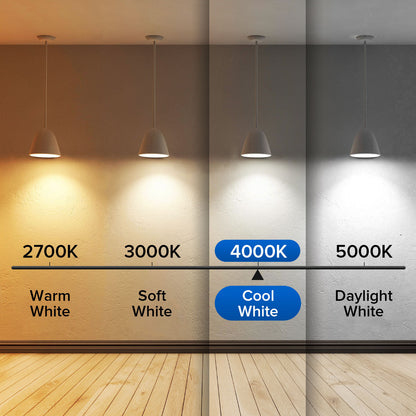 Lighting color temperature chart with four different light bulbs showing warm white, soft white, cool white, and daylight white. - Lioré
